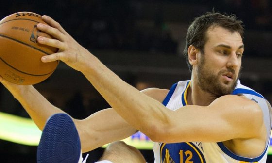 Andrew_Bogut_Warriors_2014_2