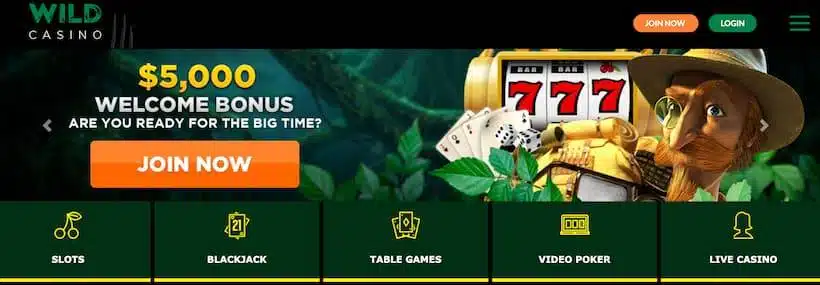 Wild Casino - One of the best brand new online casinos in the US