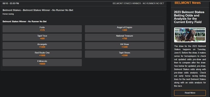 MyBookie Belmont Stakes betting