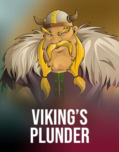 Viking's Plunder