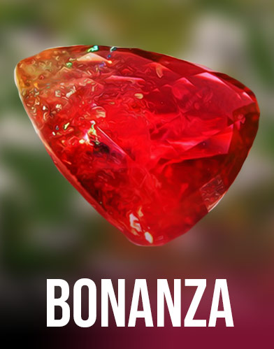 Bonanza