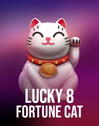 Lucky 8 Fortune Cat