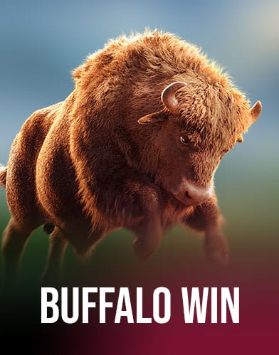 Buffalo Win