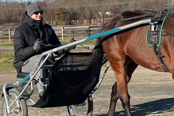 Nikola Jokic horse racing pic