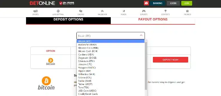 BetOnline payment methods