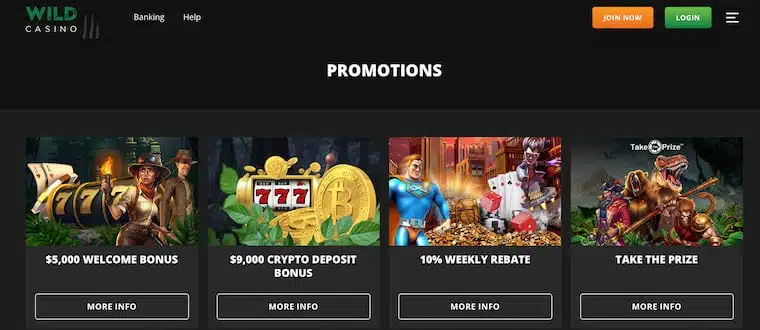 Wild Casino Bonus