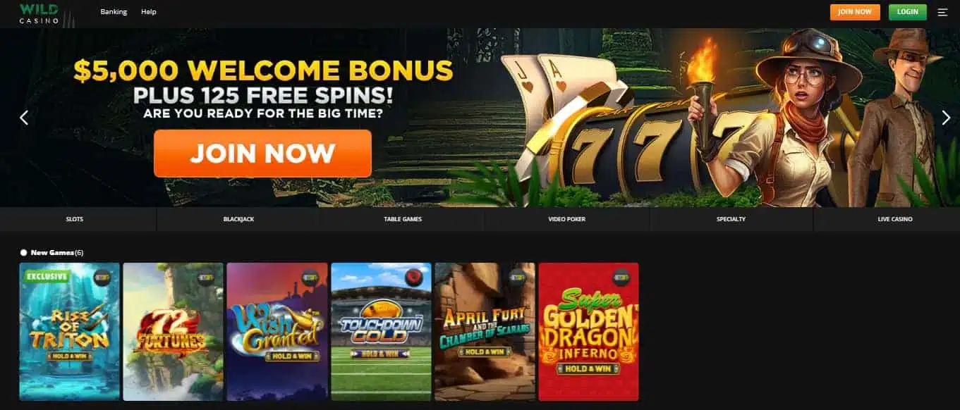 Best Real Money Slots Online wild casino bonus