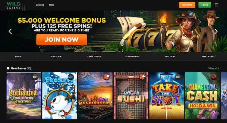 Wild Casino homepage - The best blackjack casinos 