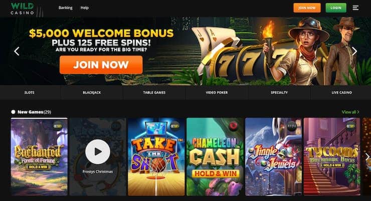 Wild Casino sign up page