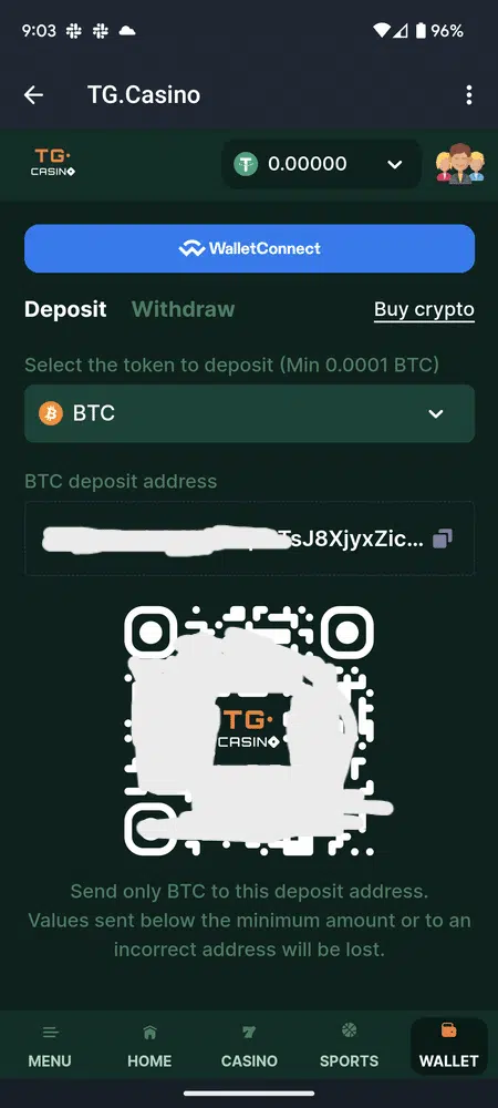 A screenshot of the wallet at the betting site TG Casino