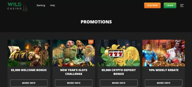 Wild Casino Promotions