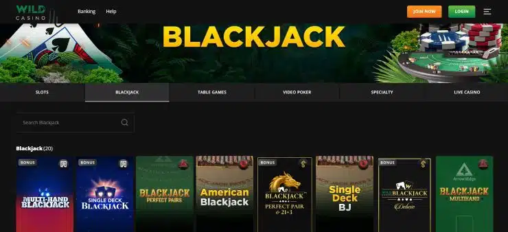 Wild Casino Blackjack