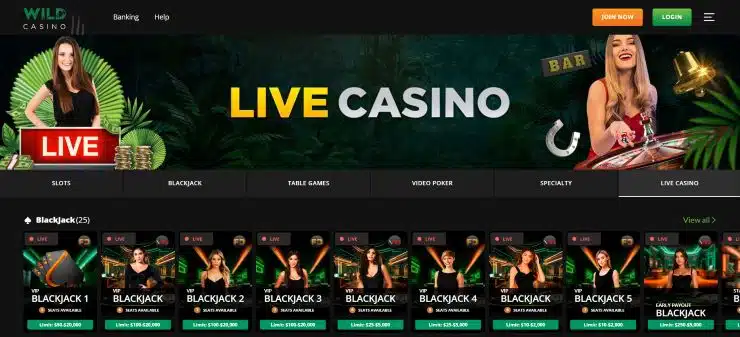 Wild Casino live casino page