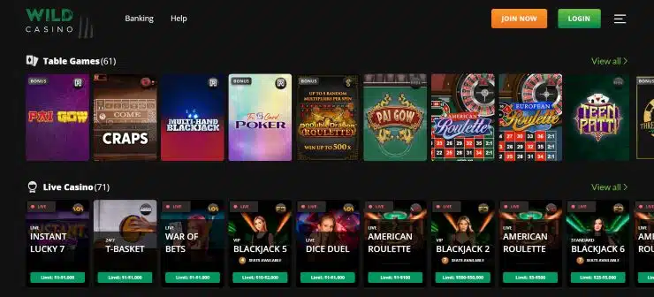 Wild Casino Step 5 Play Games